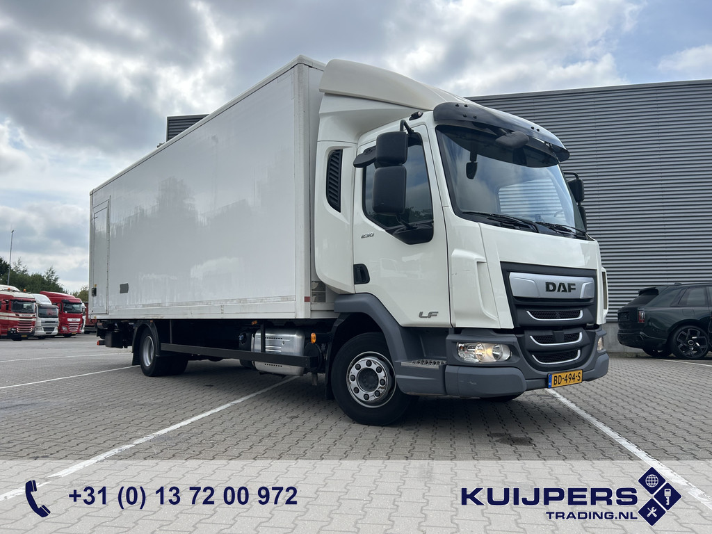 55061631